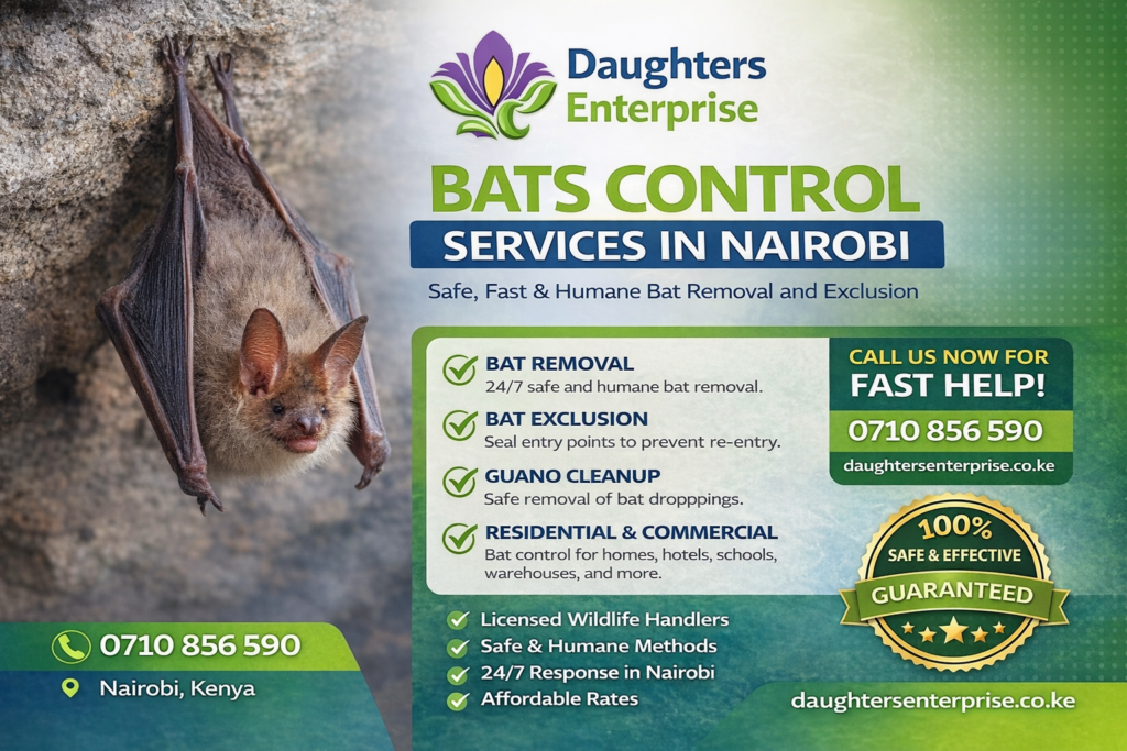 Bats Control Services In Nairobi