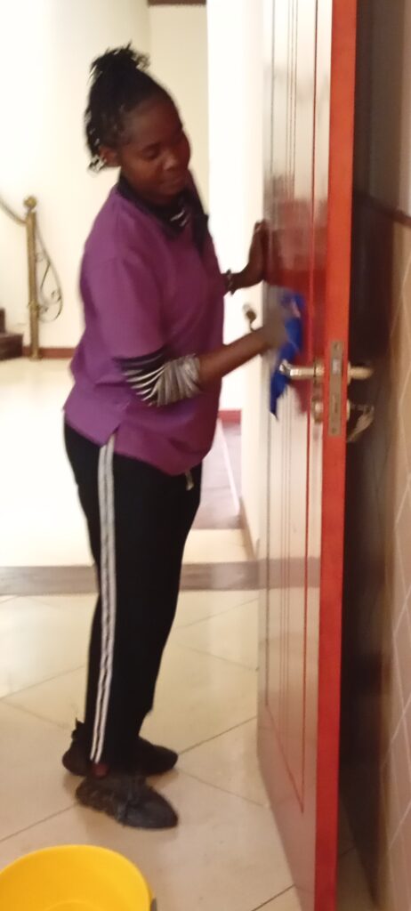 Professional House Cleaning in Nairobi Kenya