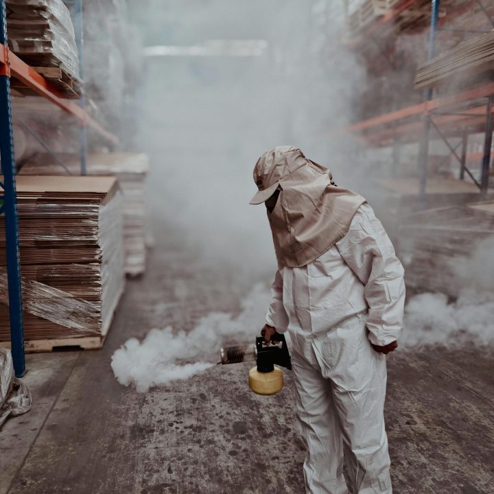 Fumigators Near Me